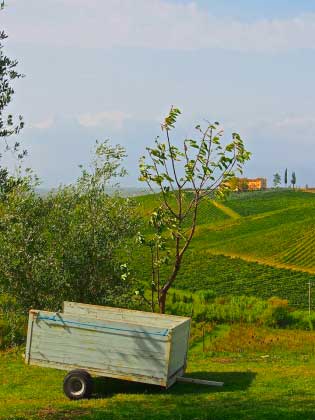 Ferienwohnung_Chianti