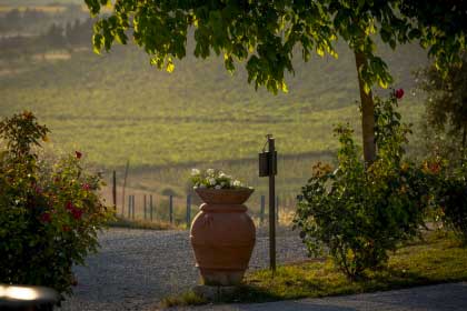 Ferienwohnung_Chianti