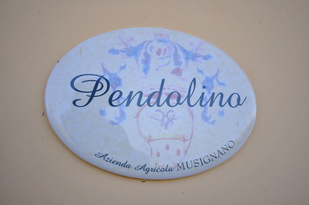 pendolino_1